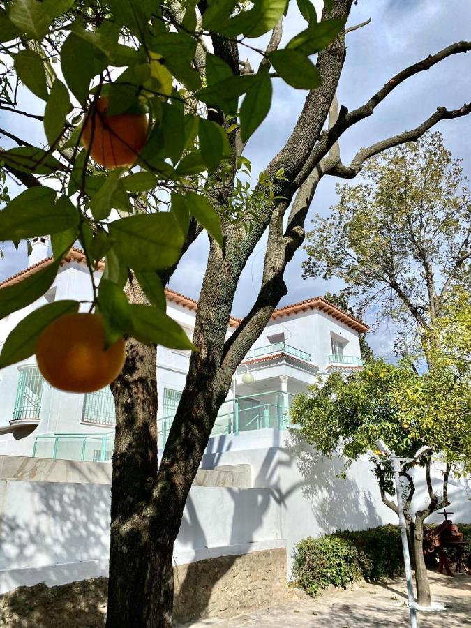 Los Almendros - Free Parking Кордова Экстерьер фото